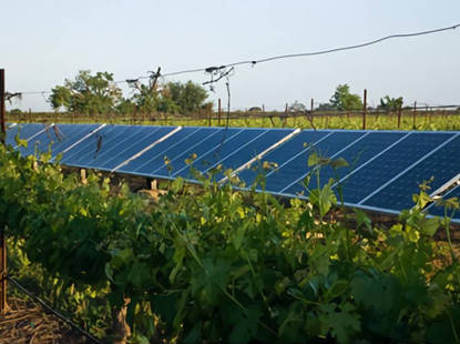 الطاقة الشمسية لمصانع النبيذ ومزارع الكروم